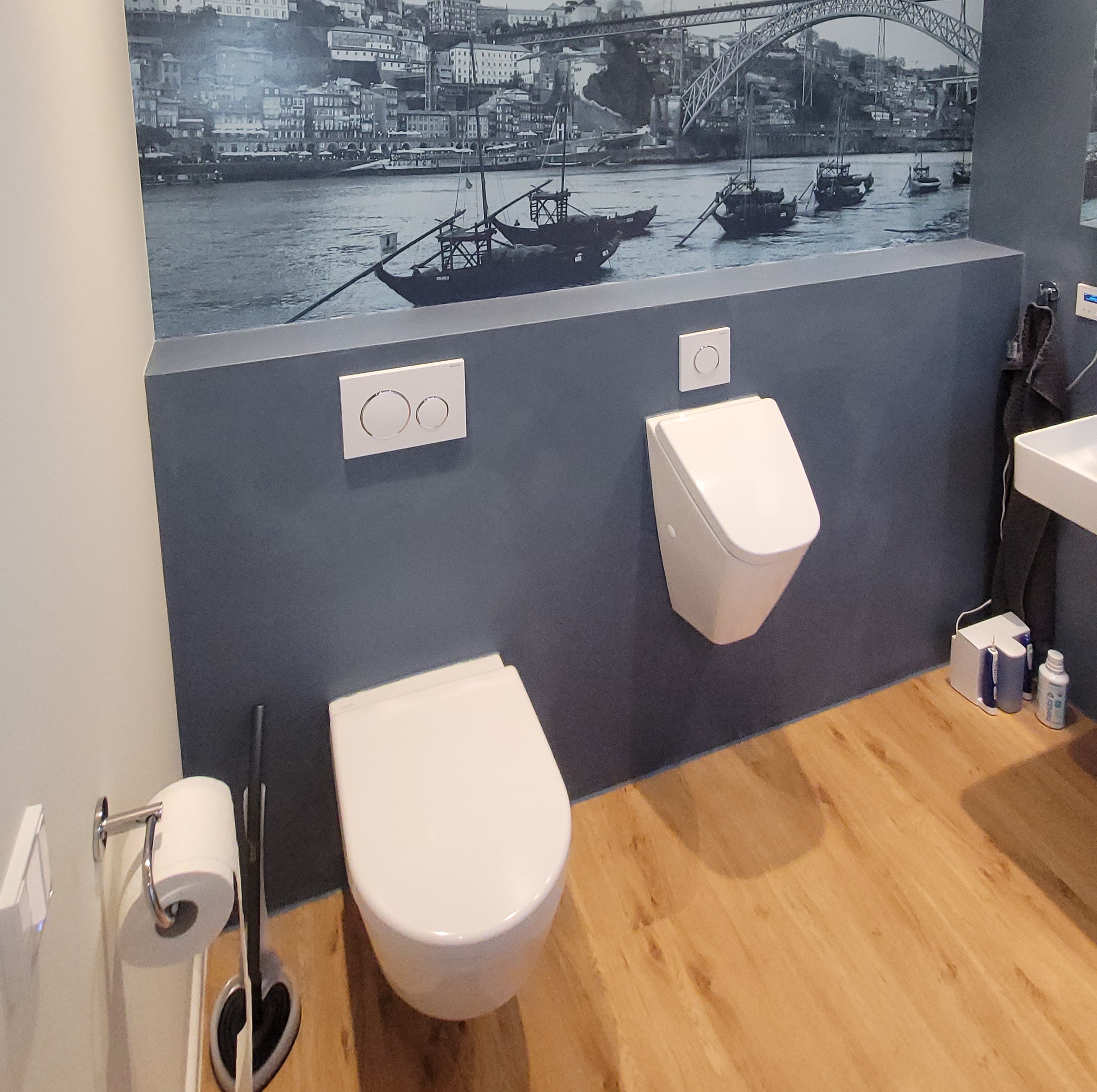 Eine Toilette, ein pissoir an einer fugenlos verputzten Wand mit einem Schiffs-print an der wand